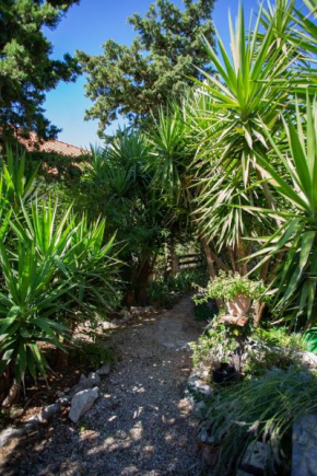 Apartments Yucca